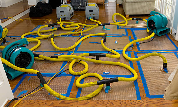 Professional Basement Flood Cleanup technician working in Barnum, MN